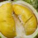 Stop Konsumsi Durian Jika Anda Mengidap Kondisi Berikut ini